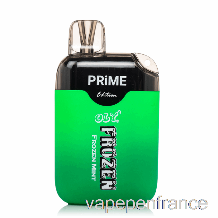 Stylo Vape Jetable à La Menthe Congelée Oly Frozen Prime 6500